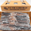 SURUME IKA SQUID (20-22 COUNT) KOREA